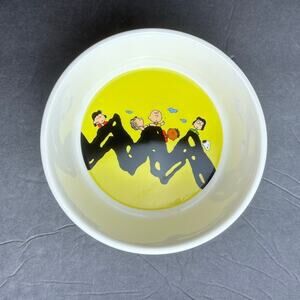 PEANUTS Stoneware Pet Bowl Snoopy and Charlie Brown 5 in White Blue Yellow Black